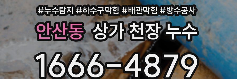 안산동 상가 천장 누수