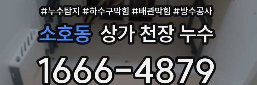 소호동 상가 천장 누수