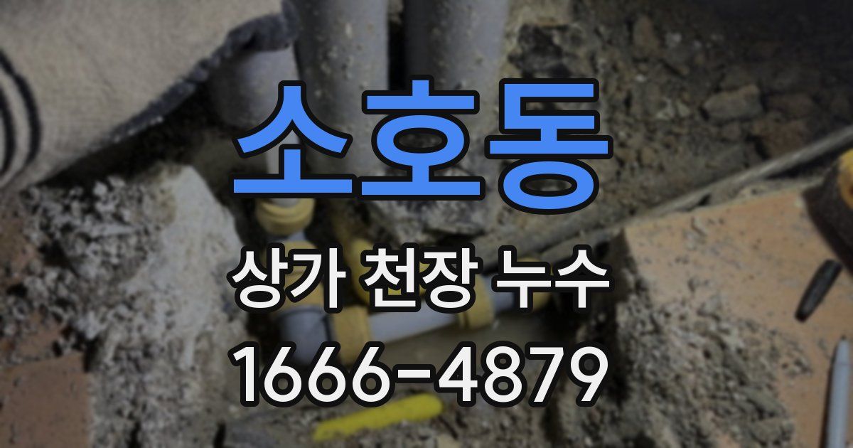소호동 상가 천장 누수