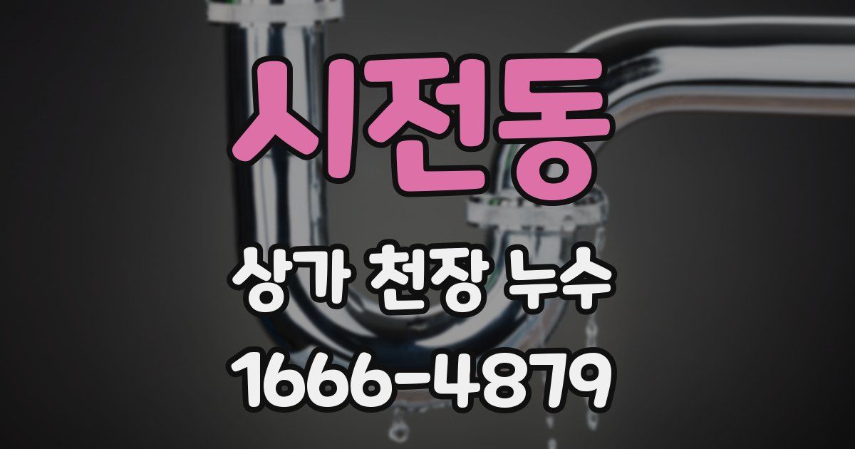 시전동 상가 천장 누수