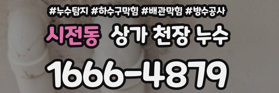 시전동 상가 천장 누수
