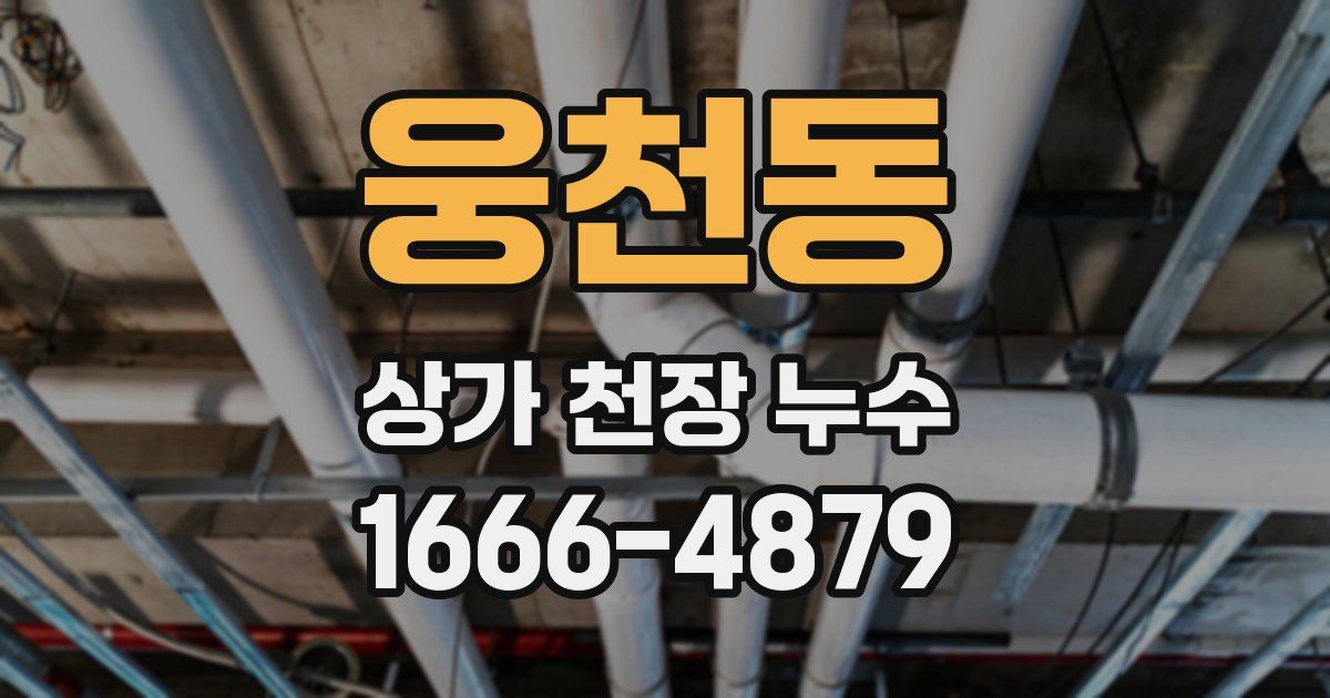 웅천동 상가 천장 누수