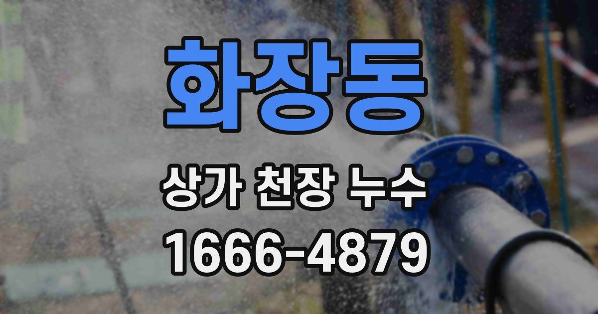 화장동 상가 천장 누수