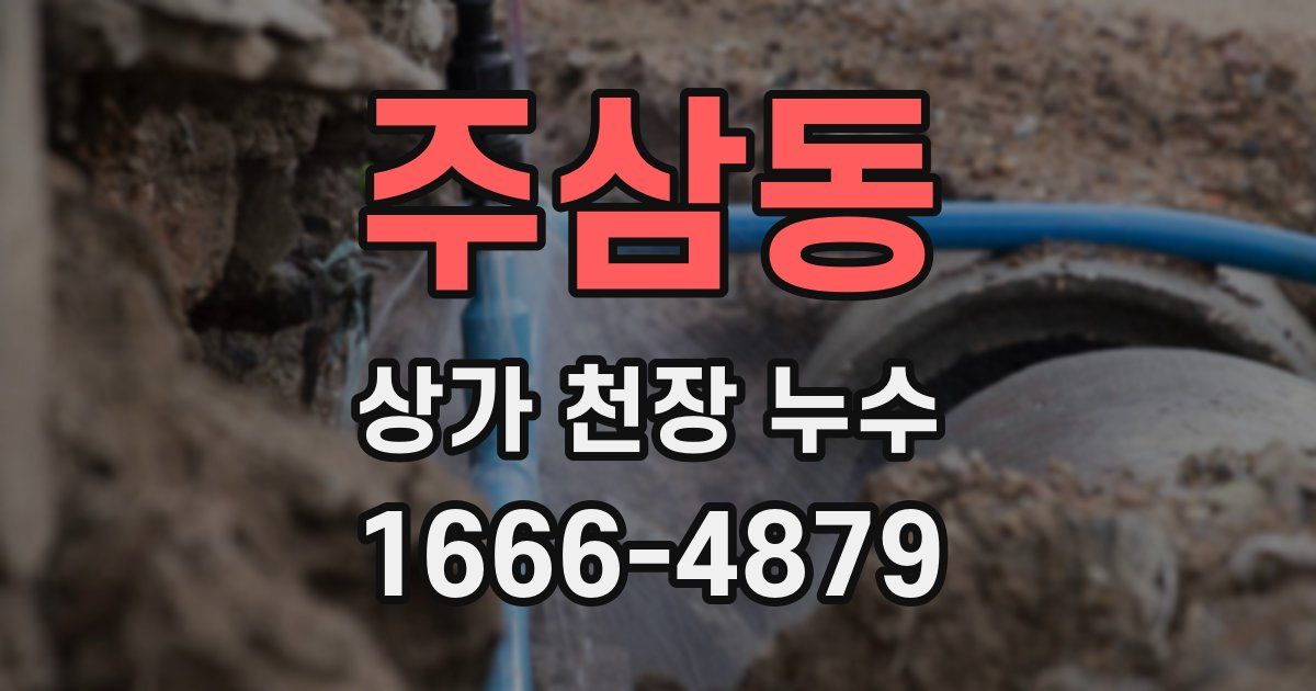주삼동 상가 천장 누수