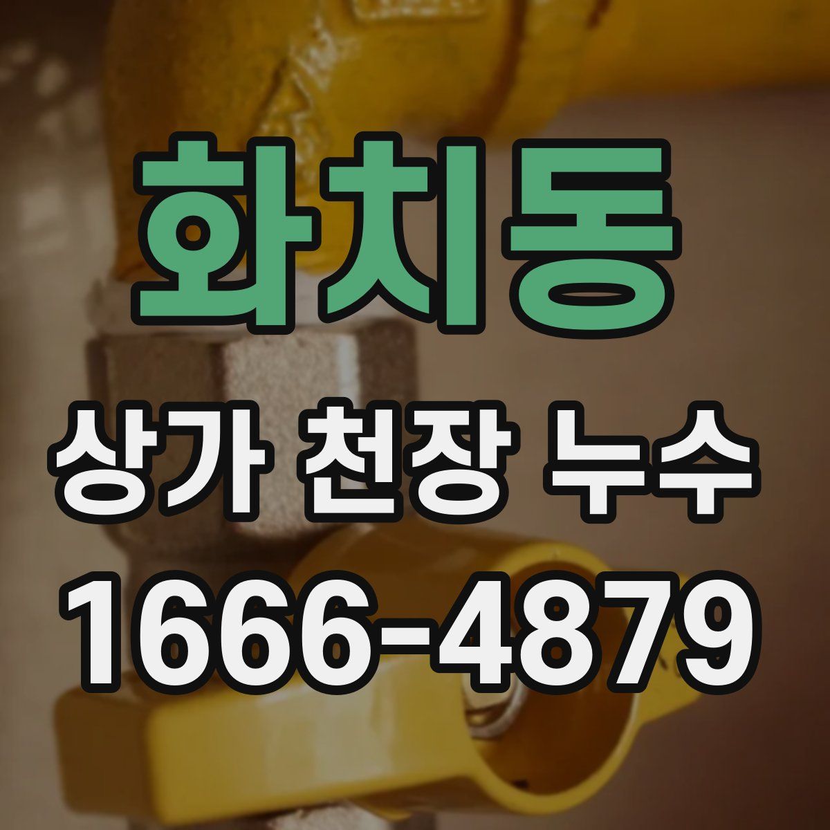 화치동 상가 천장 누수