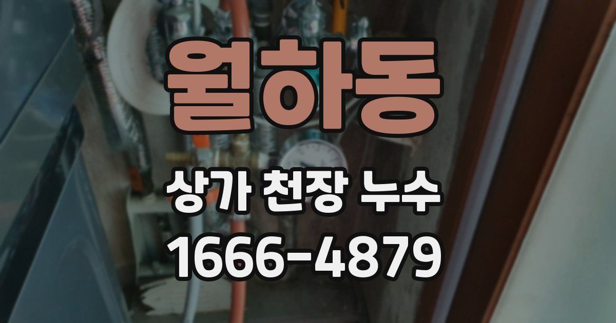 월하동 상가 천장 누수