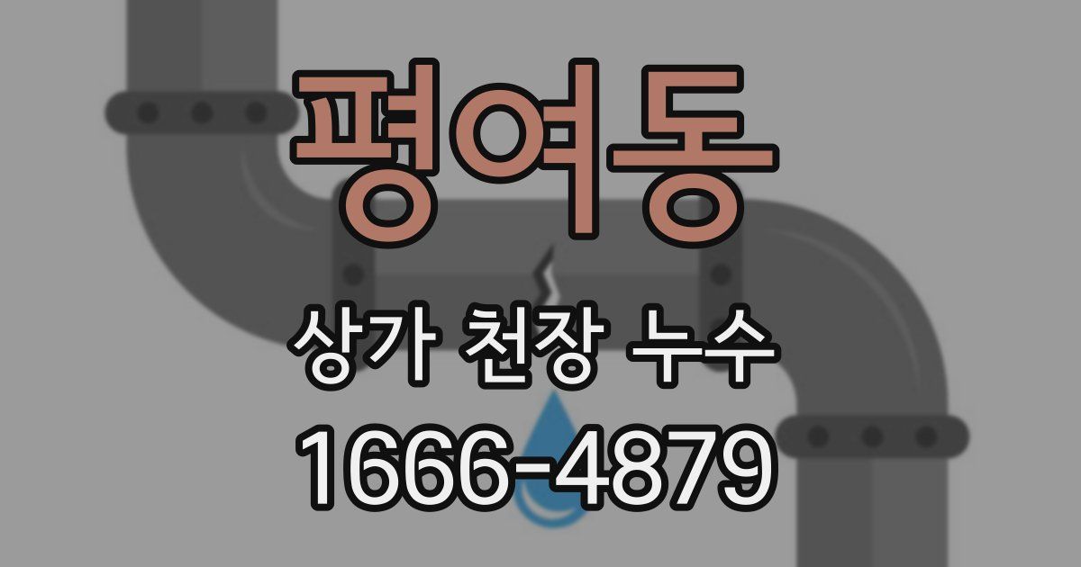 평여동 상가 천장 누수