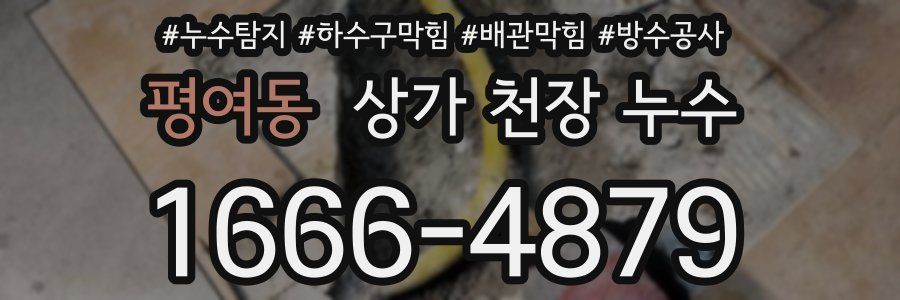 평여동 상가 천장 누수