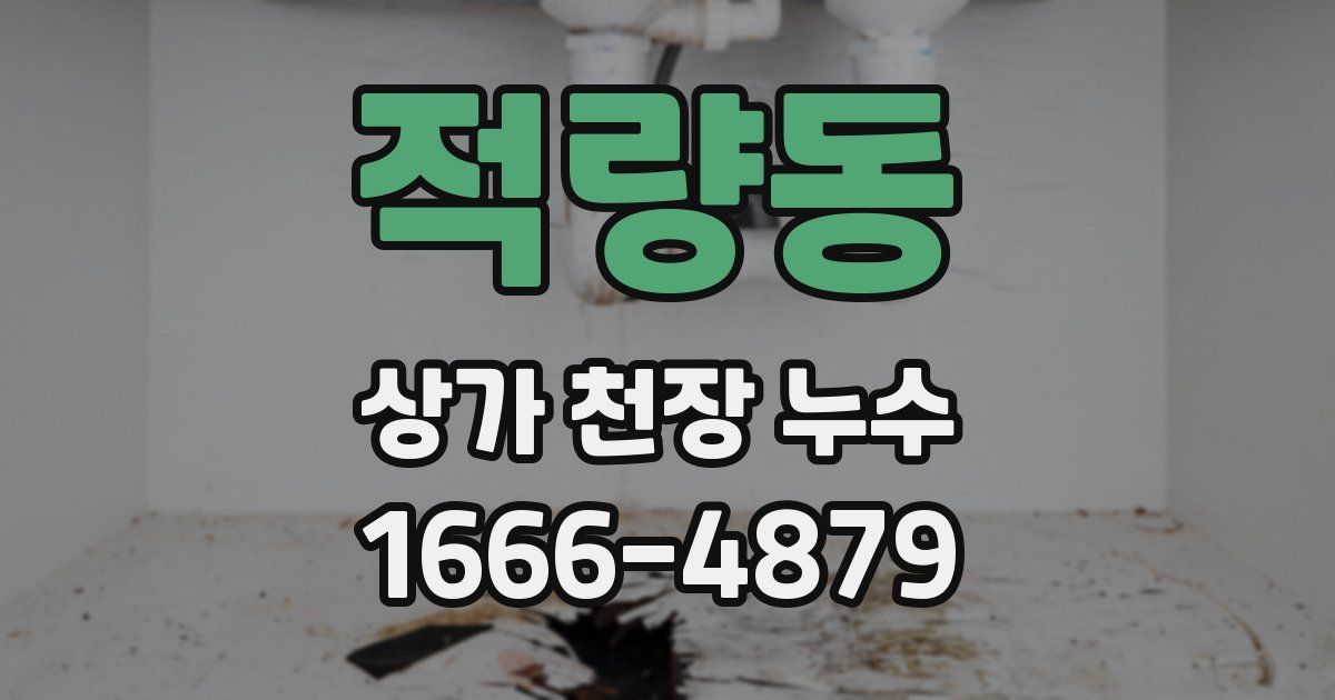 적량동 상가 천장 누수