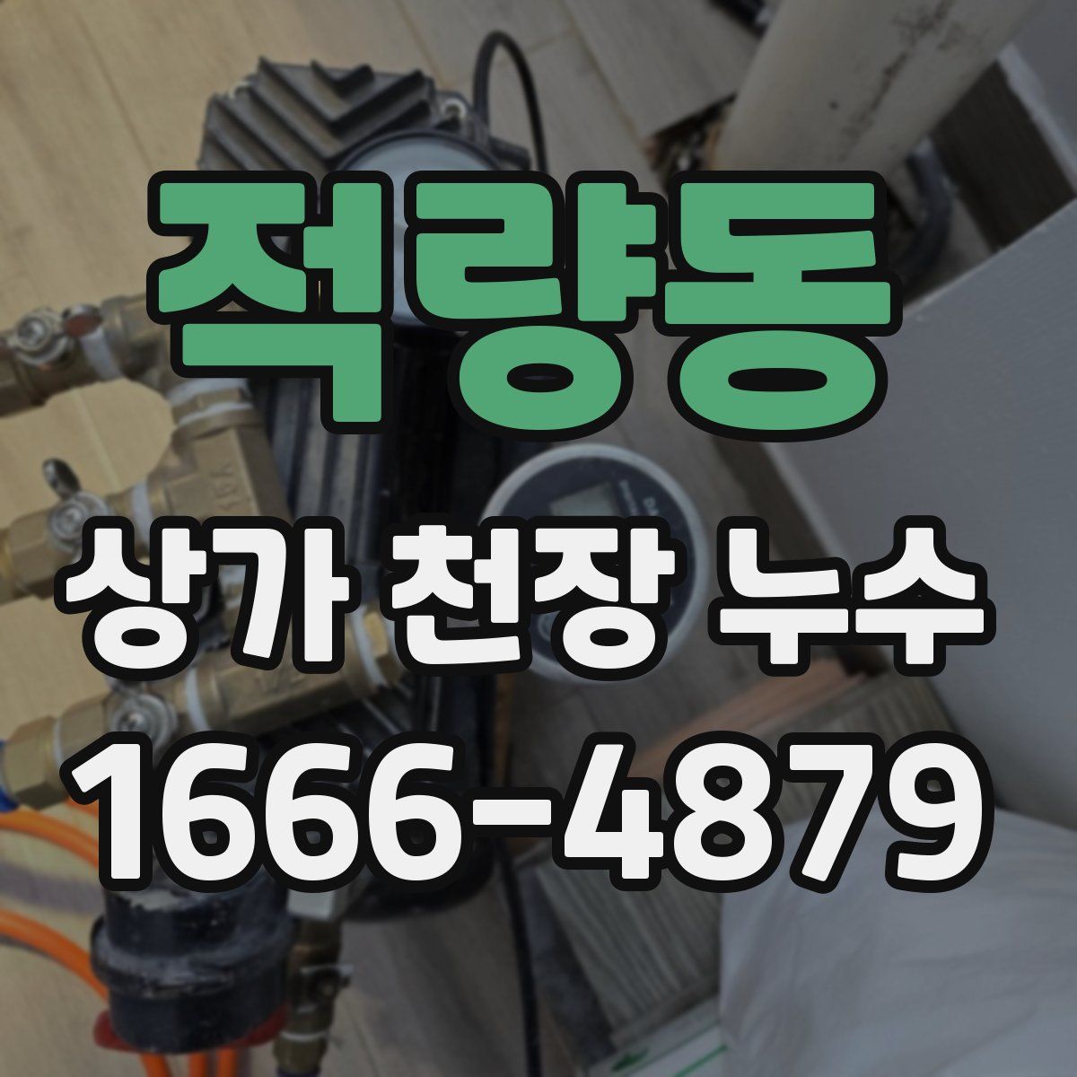 적량동 상가 천장 누수