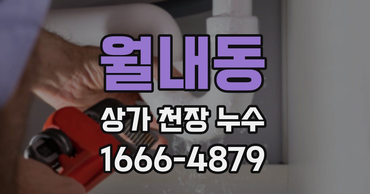 월내동 상가 천장 누수