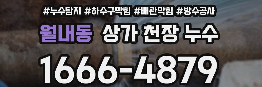 월내동 상가 천장 누수