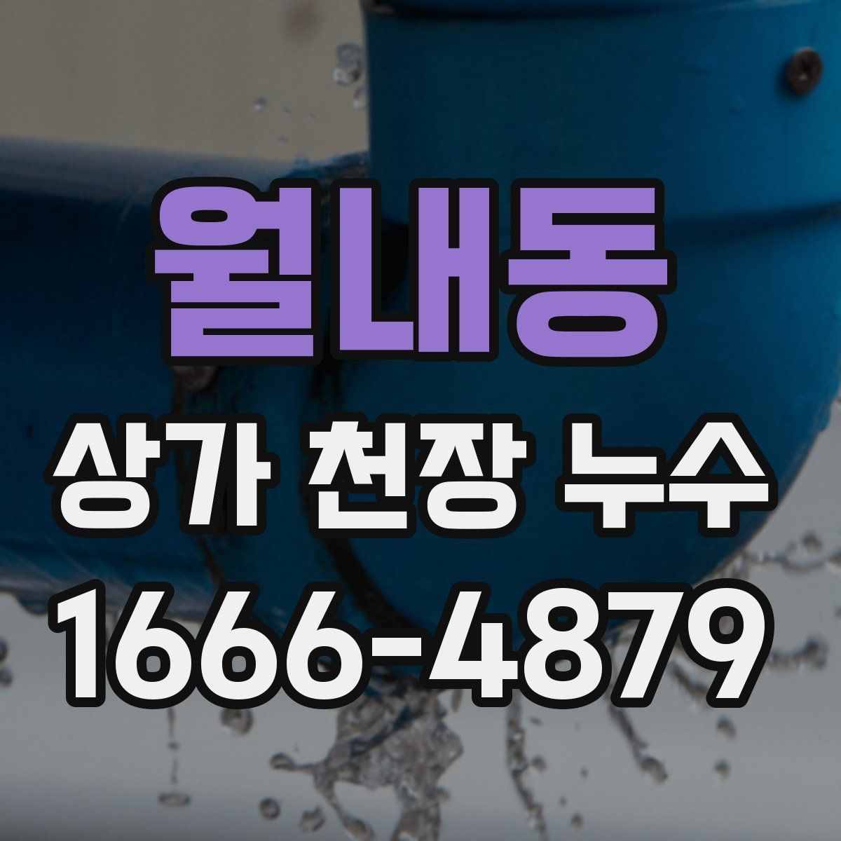 월내동 상가 천장 누수