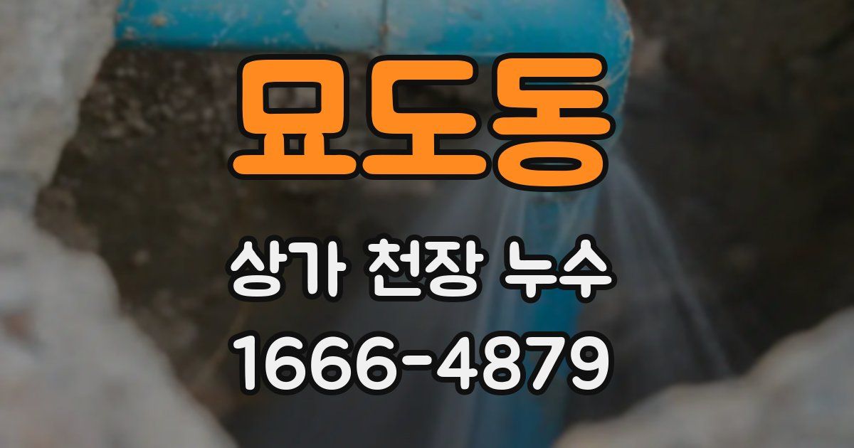 묘도동 상가 천장 누수