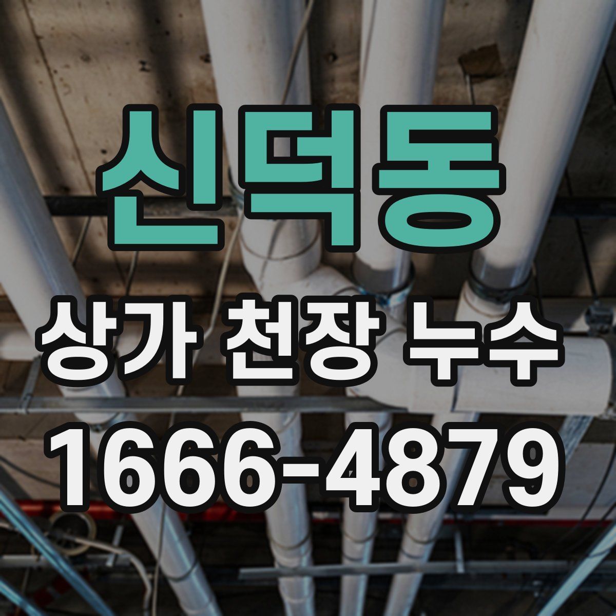 신덕동 상가 천장 누수