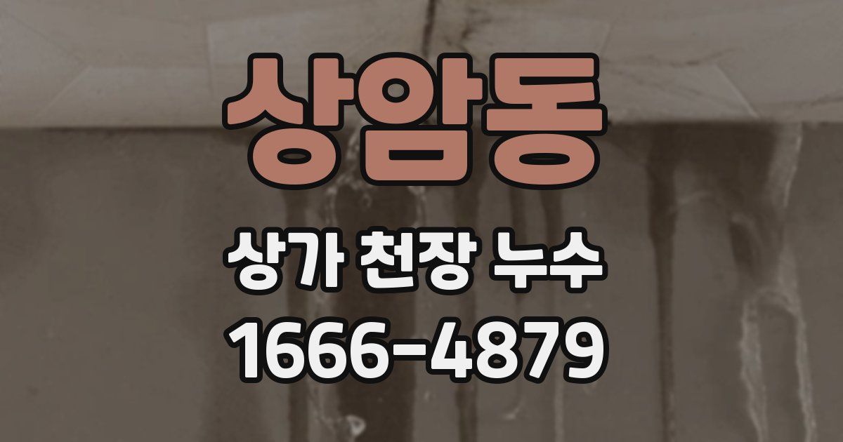 상암동 상가 천장 누수