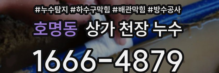 호명동 상가 천장 누수