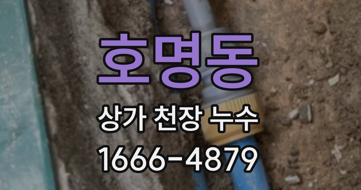 호명동 상가 천장 누수