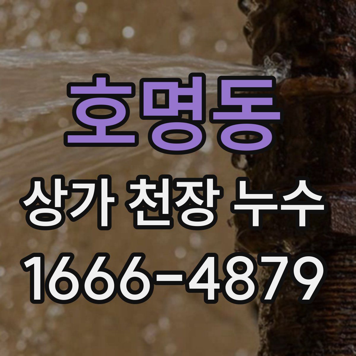 호명동 상가 천장 누수