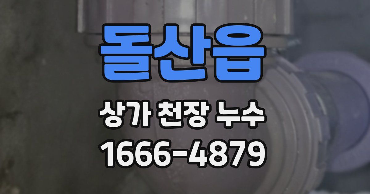 돌산읍 상가 천장 누수