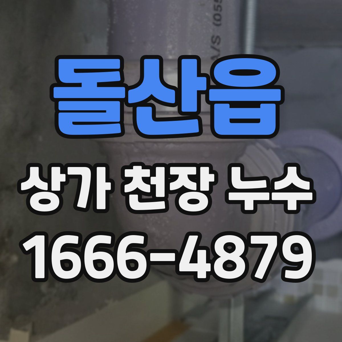 돌산읍 상가 천장 누수