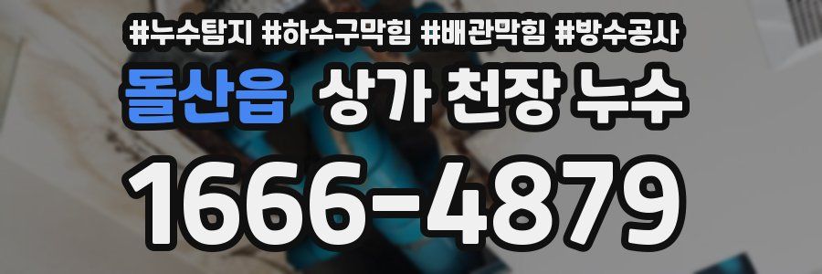 돌산읍 상가 천장 누수