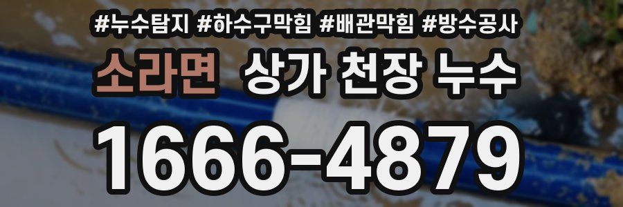 소라면 상가 천장 누수