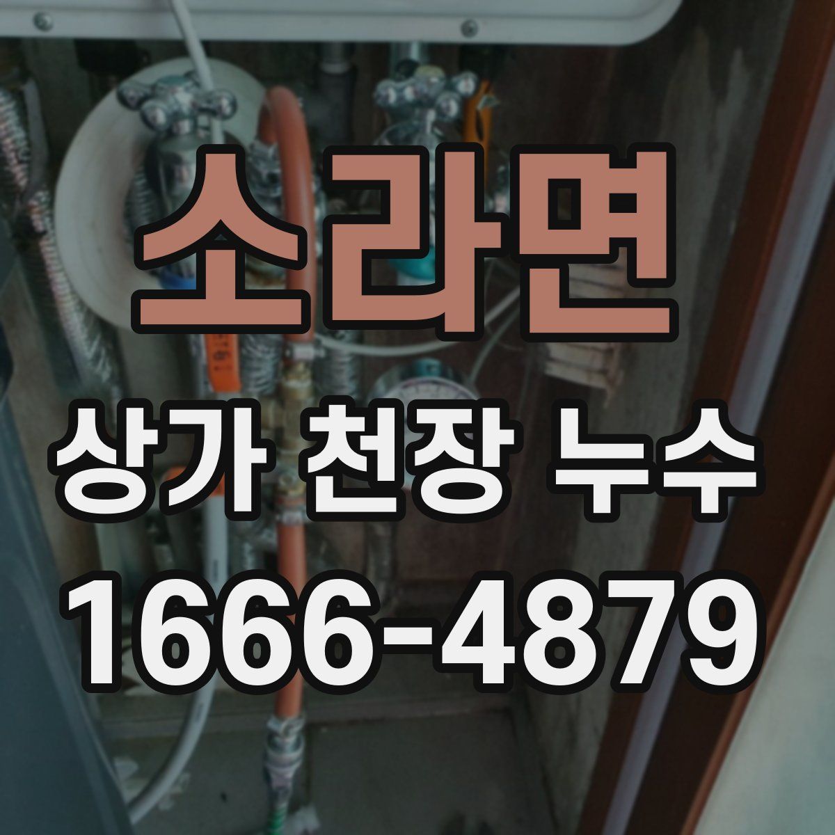 소라면 상가 천장 누수