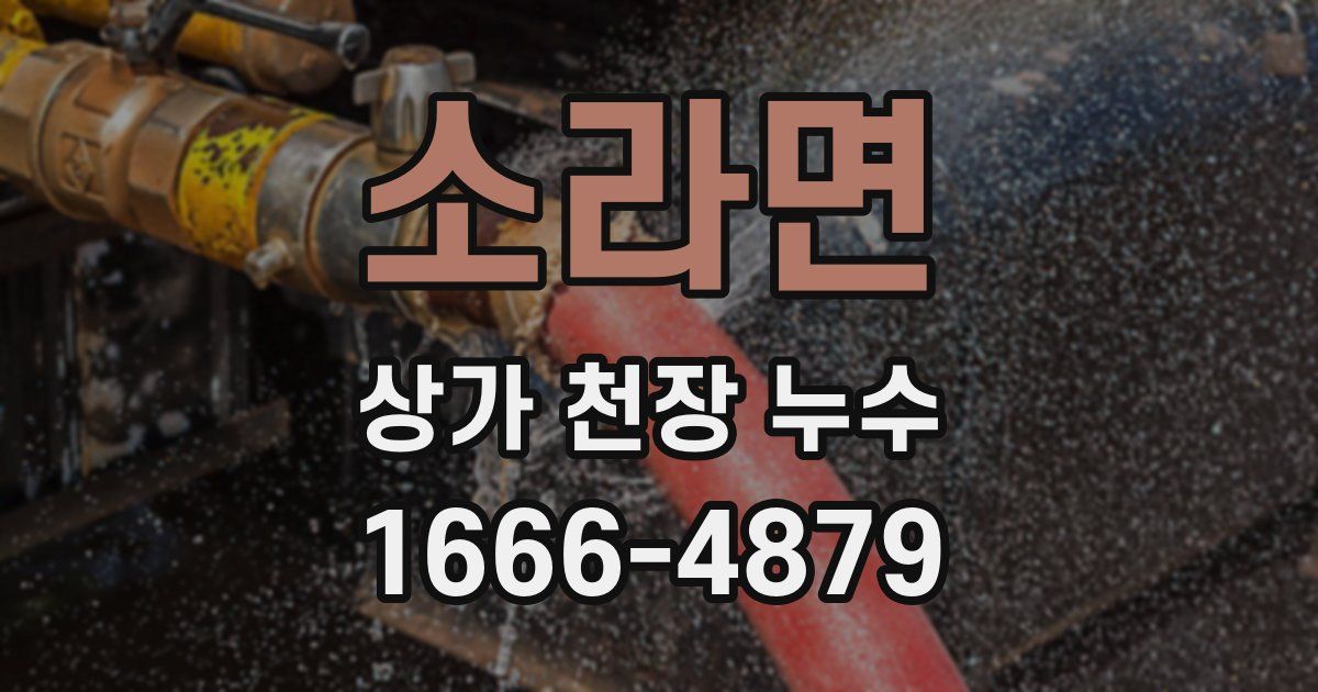 소라면 상가 천장 누수