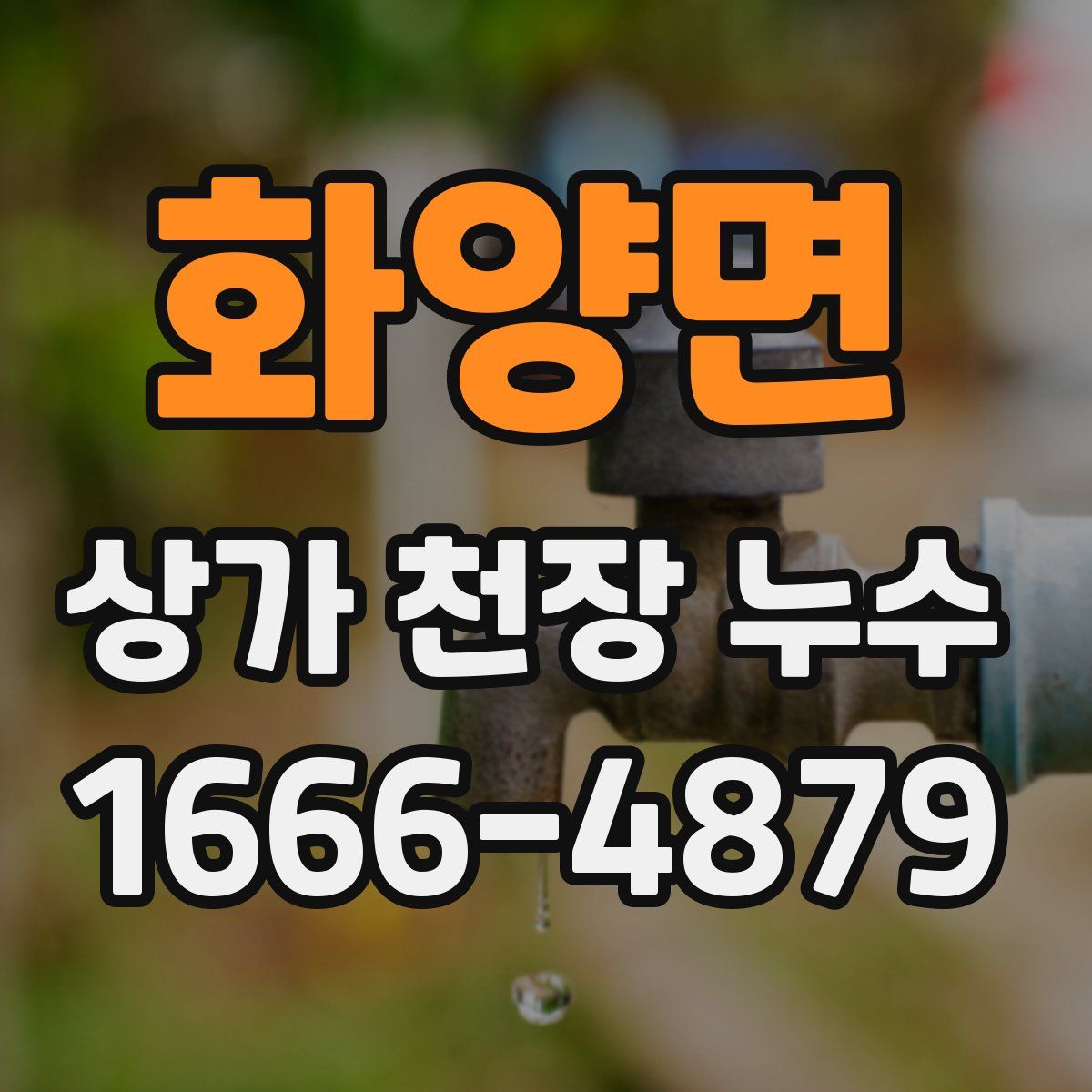 화양면 상가 천장 누수