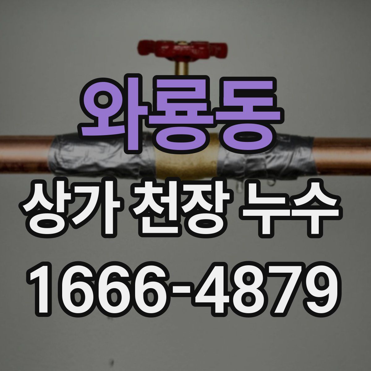 와룡동 상가 천장 누수