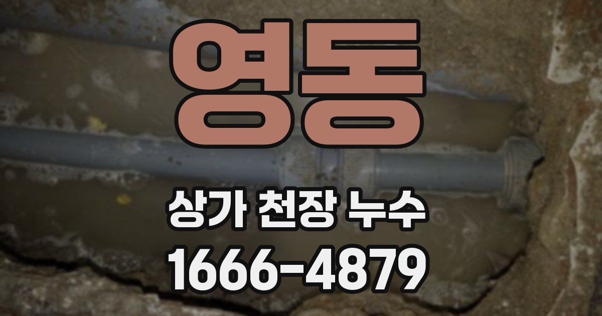 영동 상가 천장 누수