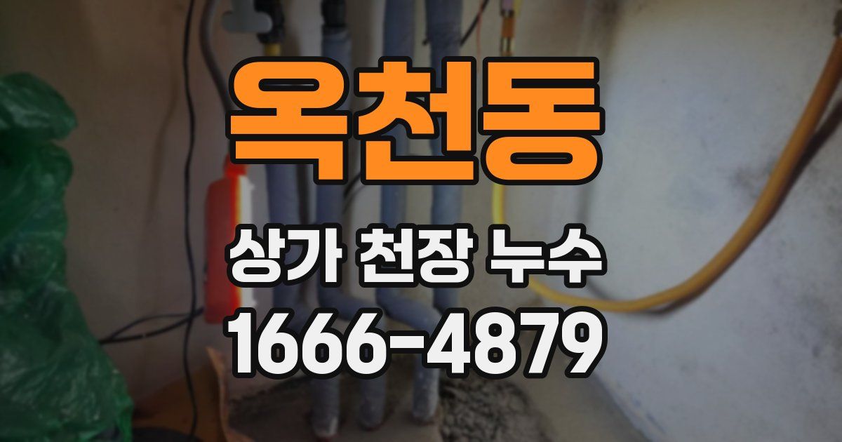 옥천동 상가 천장 누수