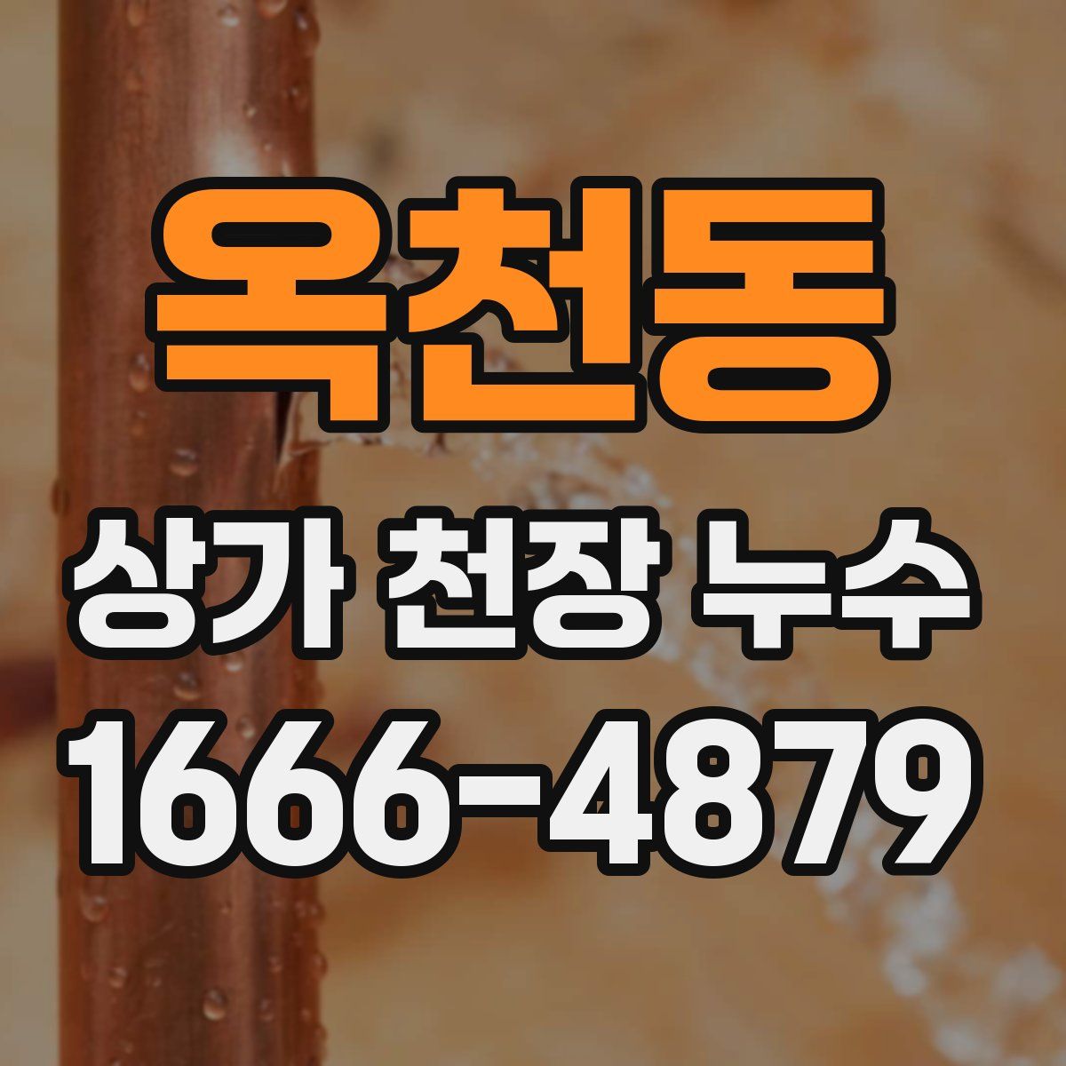 옥천동 상가 천장 누수