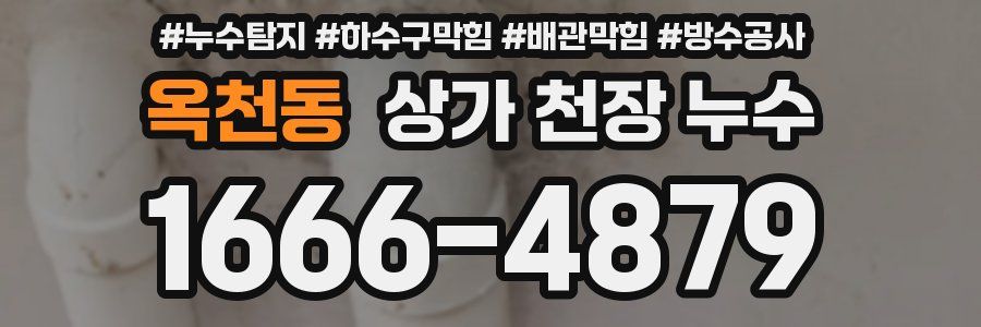 옥천동 상가 천장 누수