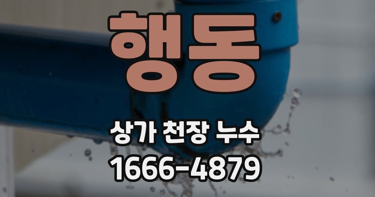 행동 상가 천장 누수
