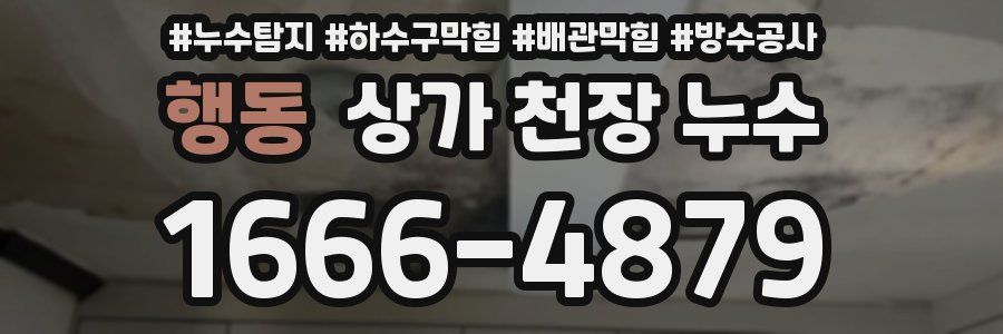 행동 상가 천장 누수