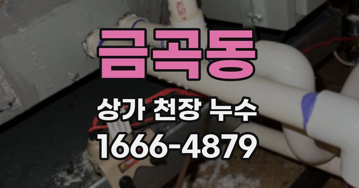 금곡동 상가 천장 누수