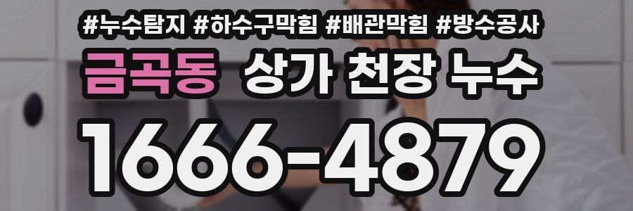 금곡동 상가 천장 누수