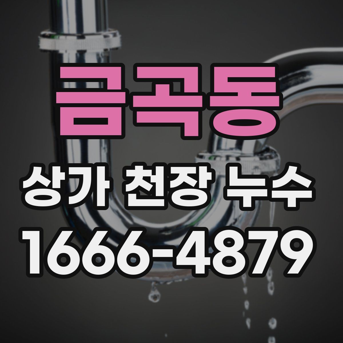 금곡동 상가 천장 누수