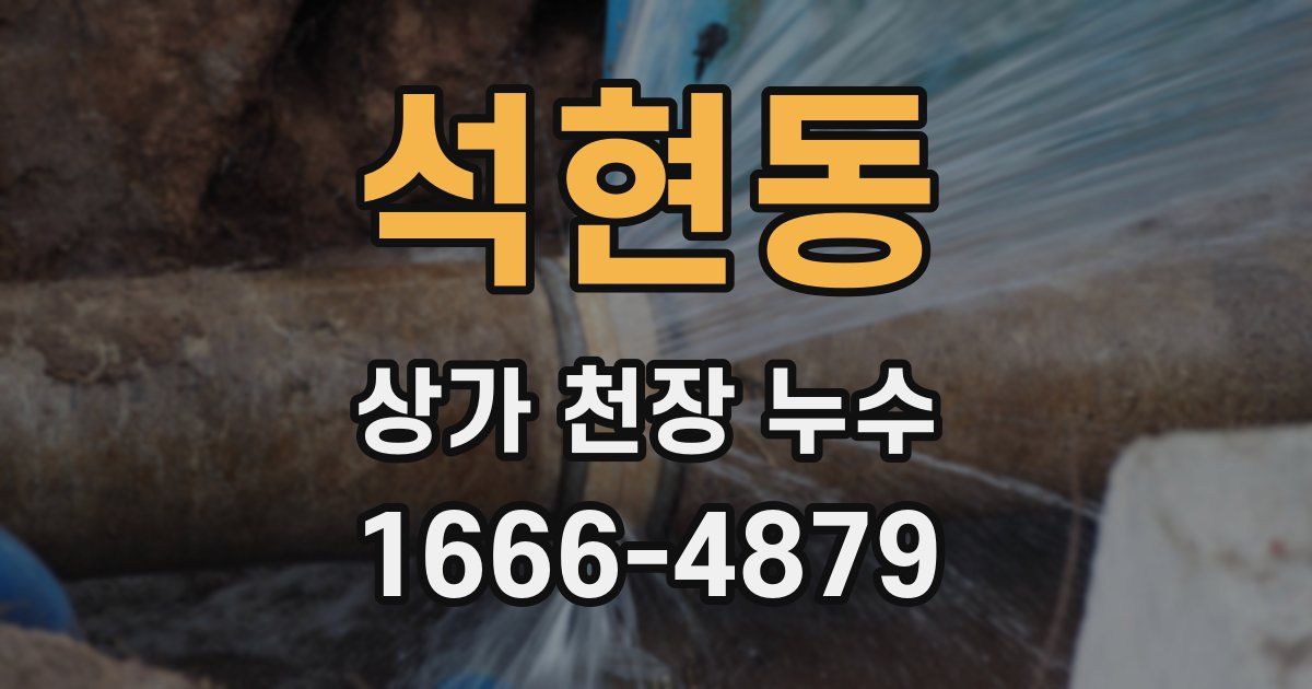 석현동 상가 천장 누수
