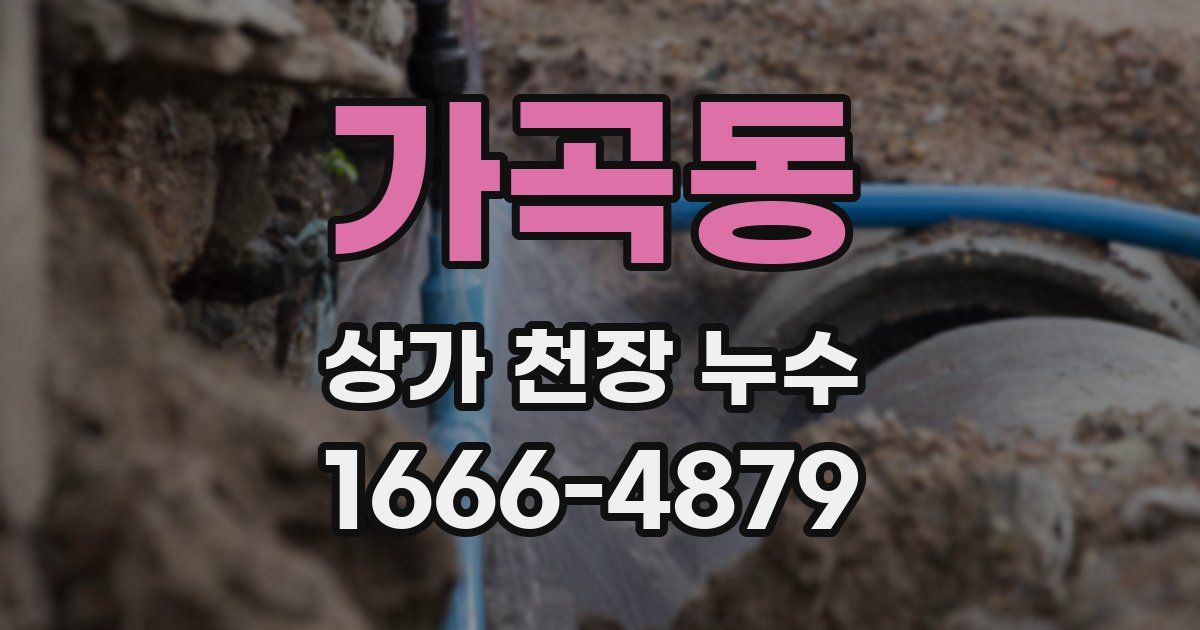 가곡동 상가 천장 누수