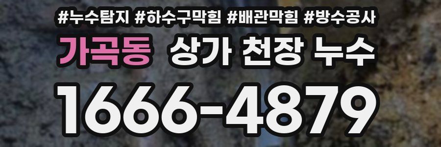 가곡동 상가 천장 누수