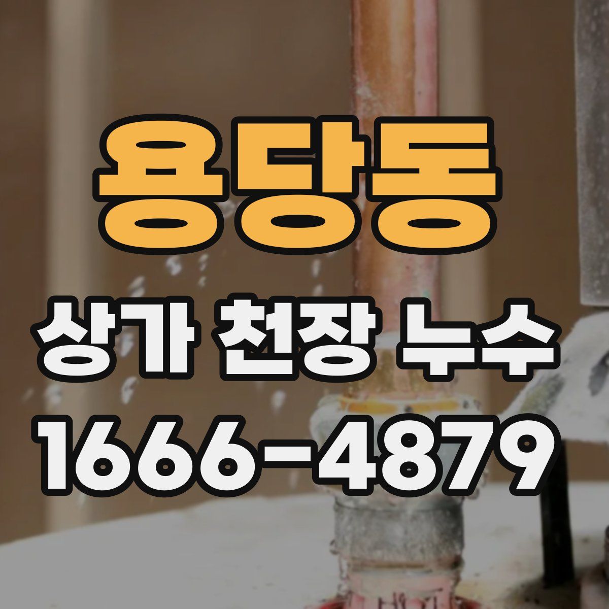 용당동 상가 천장 누수