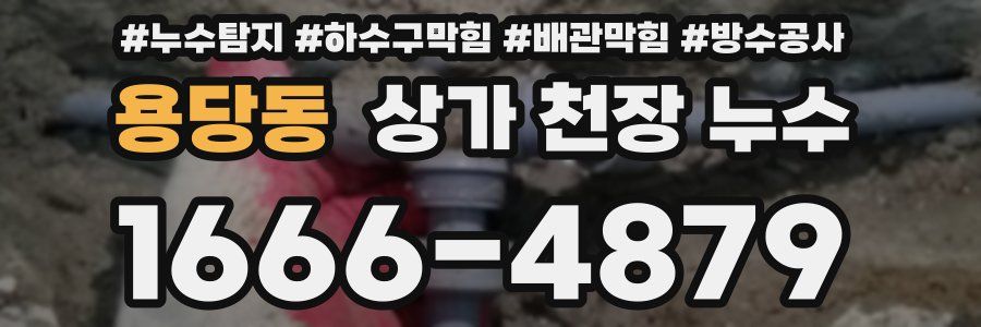 용당동 상가 천장 누수