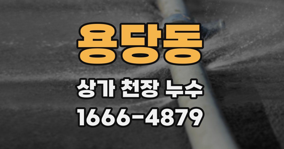 용당동 상가 천장 누수