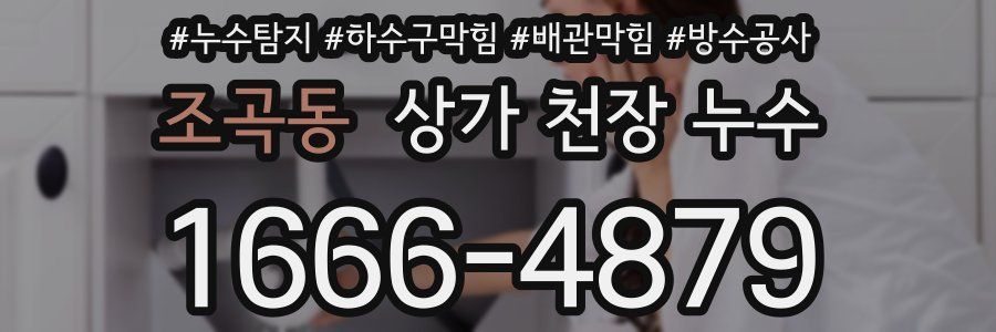 조곡동 상가 천장 누수