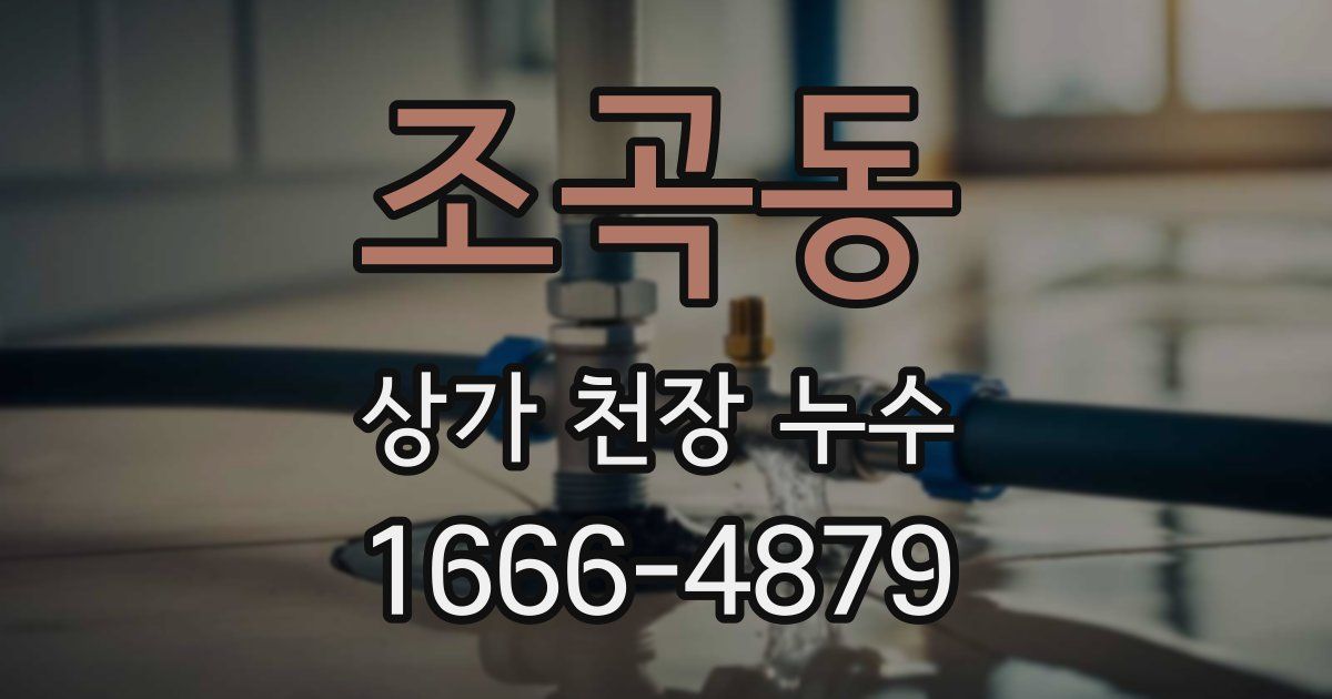 조곡동 상가 천장 누수