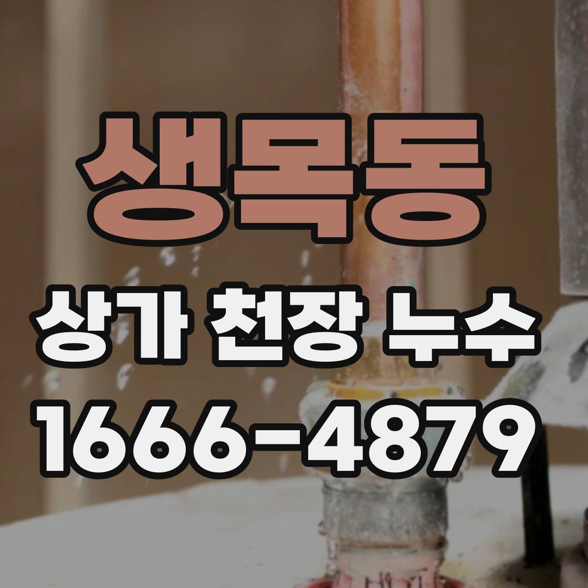 생목동 상가 천장 누수