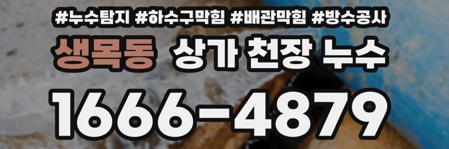 생목동 상가 천장 누수